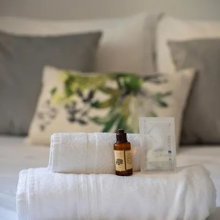 Ciapetta- Vieille De - Hyper Centre - - Clim Apartment *