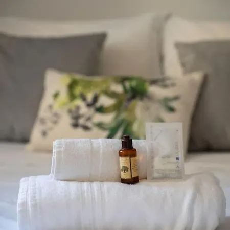 Ciapetta- Vieille De - Hyper Centre - - Clim Menton